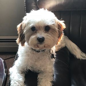 Meet your Posher, Jen